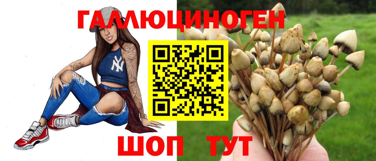 Псилоцибиновые грибы ЛСД  Галлюциногенные грибы мицелий  Ейск  Вход с VPN 