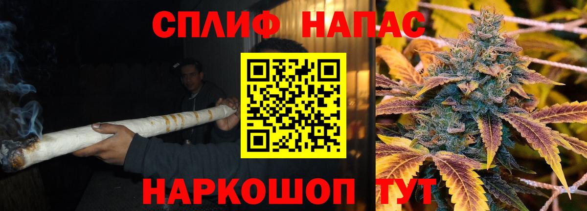 Канабис Bruce Banner  Шишки марихуана сатива  Бошки марихуана семена  Вход с VPN  Ейск  Бошки марихуана семена 